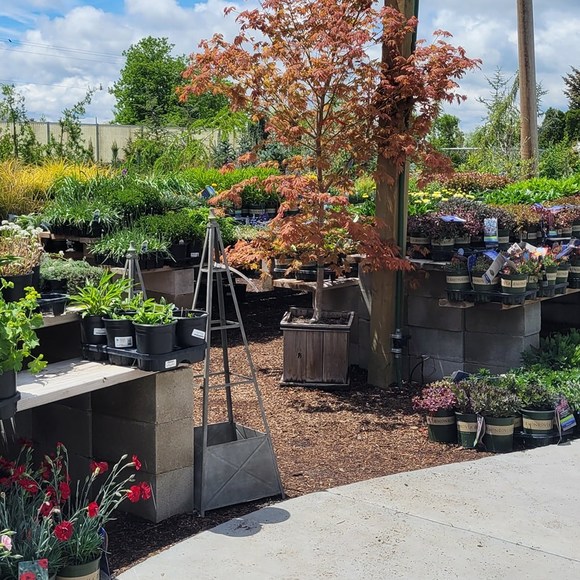 Meet your Posher, Michelle - Picture 1 of 1